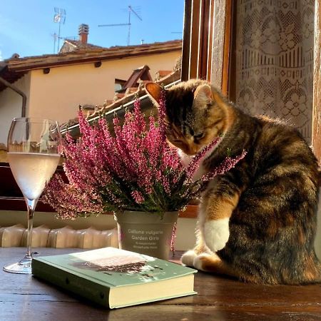 Casa Letizia Villa คาสติญโญน ฟิโอเรนทิโน ภายนอก รูปภาพ
