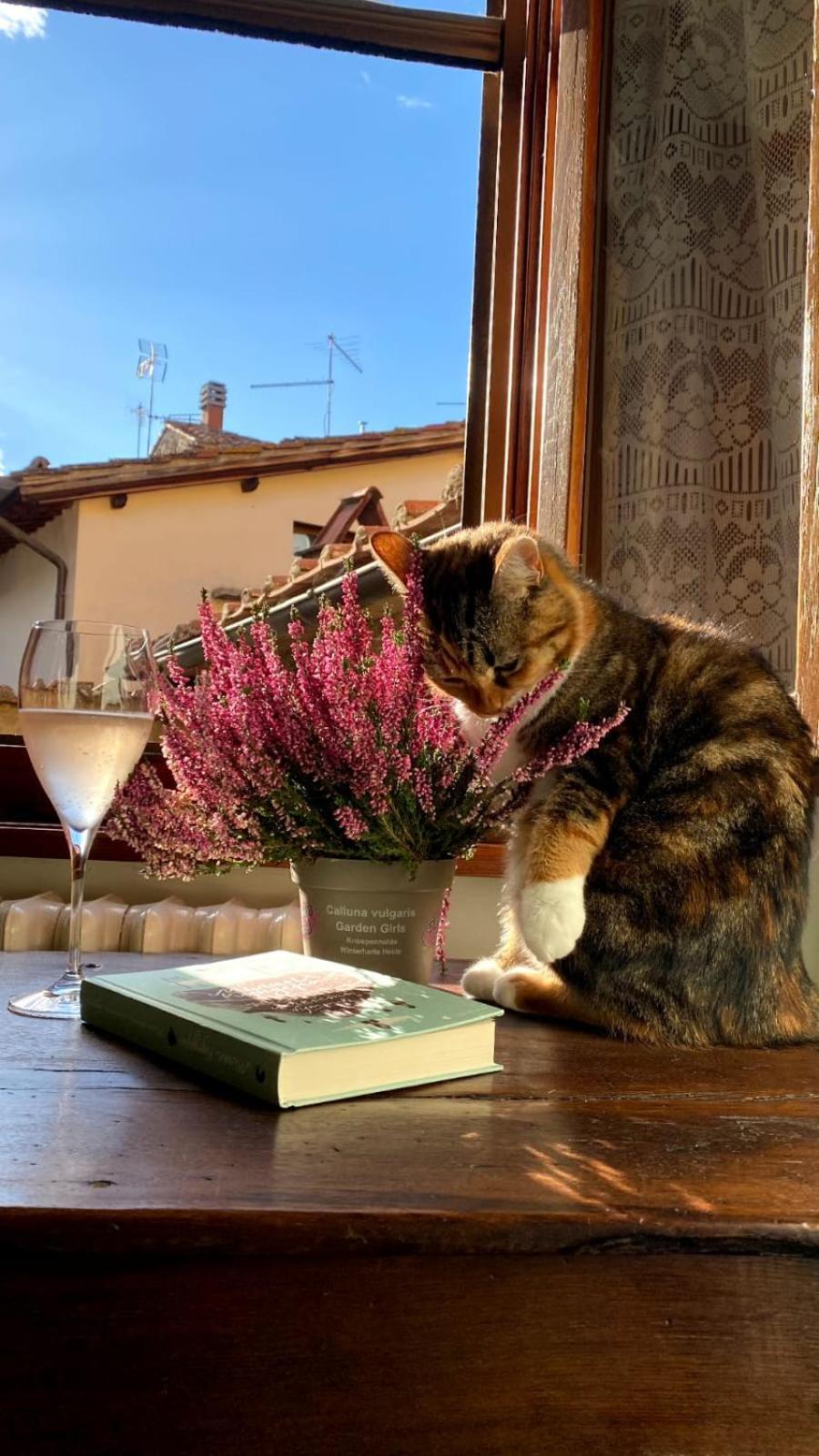 Casa Letizia Villa คาสติญโญน ฟิโอเรนทิโน ภายนอก รูปภาพ
